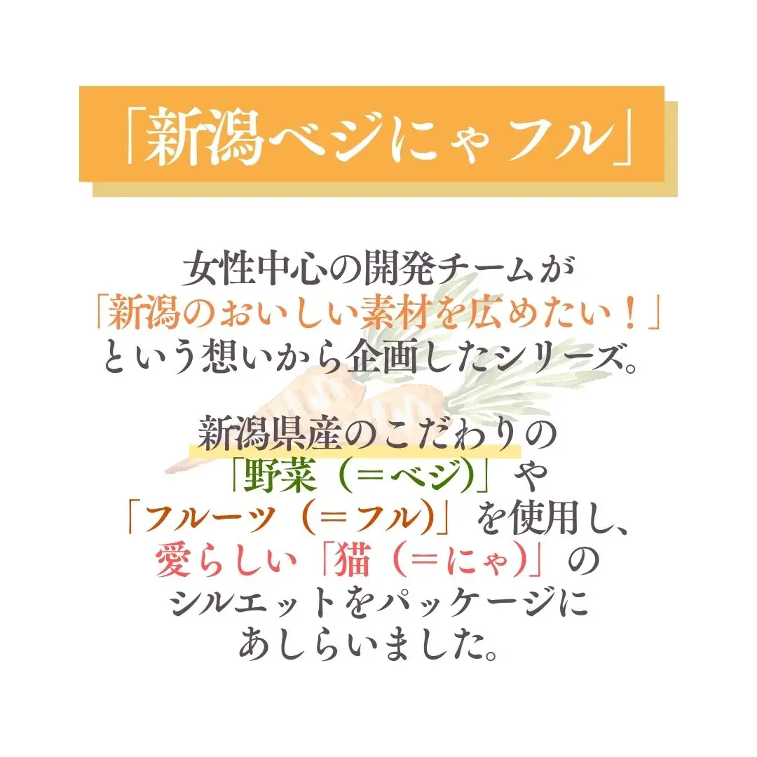 新潟ベジにゃフル 雪下にんじんスープ 30袋セット 阿部幸製菓【0002-0390-01】