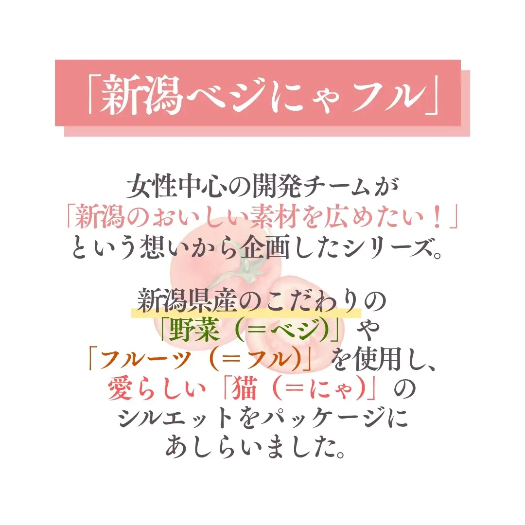 新潟ベジにゃフル にいがたトマトキーマカレー 30袋セット 阿部幸製菓【0002-0391-01】