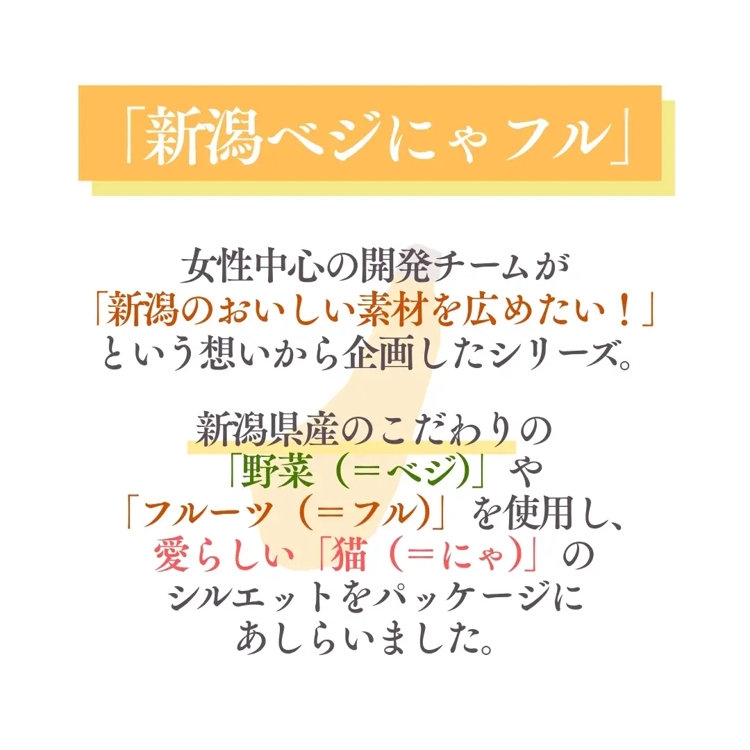 新潟ベジにゃフル ばなな南瓜ポタージュ 30袋セット 阿部幸製菓【0002-0392-01】