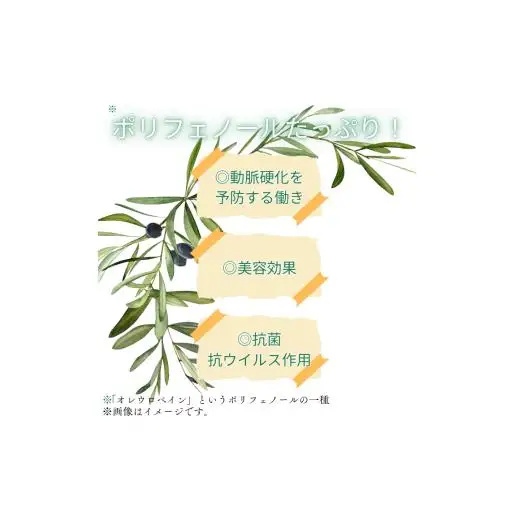 《ギフトボックス入り》匝瑳オリーブ 千朋園　オリーブ茶　2袋 60g（1袋2g×15パック×2袋） ／ お茶 オリーブ茶 オリーブ オレウロペイン ポリフェノール ティーバッグ ギフト 贈答 贈り物