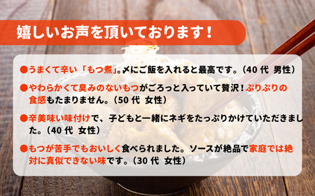 もつ煮 ジャンもつ煮 大袋×3個 計1500g おかず