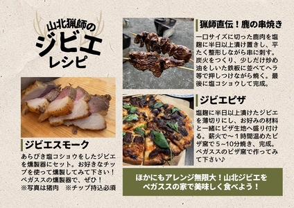 【貸切キャンプ】山北町産ジビエ肉(鹿肉)１ｋｇ付き・ペガススの家【１泊２日・４名】【 体験 チケット 旅行 キャンプ アウトドア 神奈川県 山北町 】