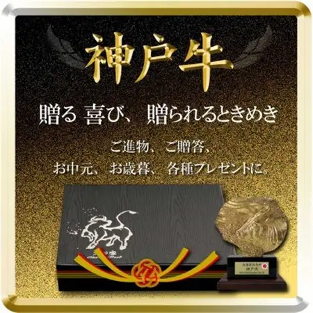 神戸牛 ロースステーキ 250g×2枚 計500g TSST5【配送不可地域：離島】【1682634】