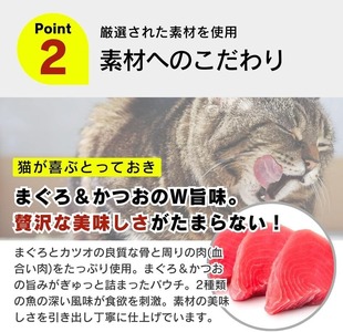 【隔月6回 定期便】金まぐろ 猫用パウチ（かつお節入り）160g×48袋 _ 定期便 隔月 全6回 金まぐろ 猫用 パウチ 160g × 48袋 × 6回 かつお節入り 全年齢 対応 やさしい ゼリータイプ 水分補給 まぐろ かつお 高タンパク 低カロリー 健康維持 ウェットフード キャットフード おやつ 福岡県 久留米市  〔Tk093-01〕