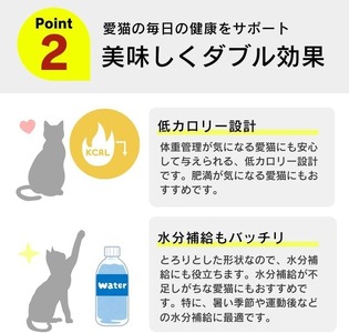 【隔月6回 定期便】とろーりおやつ 猫用（ツナ＆ほたて味）150g×48個 _ 定期便 隔月 全6回 とろーりおやつ 猫用 150g × 48個 × 6回 ツナ＆ほたて味 液状タイプ とろりなめらか食感 おやつ 水分補給 低カロリー 体重管理 長期保存 キャップ付き スパウトパウチ 福岡県 久留米市  〔Tk099-01〕