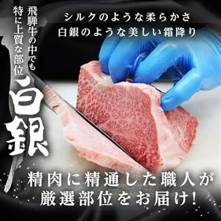 【飛騨牛】白銀焼肉用500g【配送不可地域：離島】【1686744】