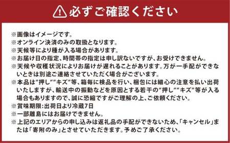 ニューピオーネ1房・シャインマスカット1房（1房500g前後）合計約1kg 2房 ぶどう 葡萄 ブドウ マスカット セット 詰め合わせ フルーツ 果物 【2026年8月下旬～10月上旬迄順次発送予定】
