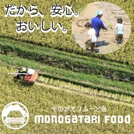 【原材料・玄米のみ】自家製玄米100%使用 ポンせんべい(10枚入り5袋セット)【1620052】