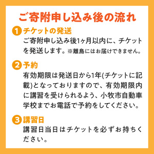 小牧市自動車学校のペーパードライバー教習(1時限分)チケット ［186A02］ 小牧市自動車学校 ペーパードライバー 教習 1時限分 チケット 1枚 路上コース 小牧市内 観光スポット巡り 初心者 サポート 運転 不安解消 ドライビングレッスン 自動車学校 愛知県 小牧市 送料無料