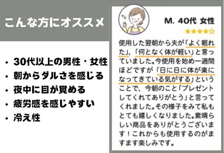 ラジウム温泉の力を取り入れたホルミシス敷パッド(キング)_【G0599】