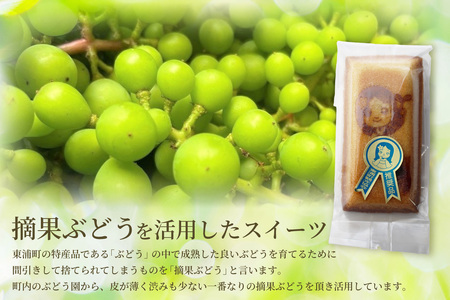 おだいちゃんフィナンシェ（9個入り）│フィナンシェ 焼き菓子 洋菓子 ぶどう 摘果ぶどう mottainai お土産 特産 愛知県 東浦町