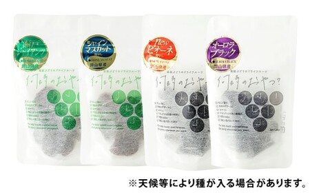 ぶどう農家が作った、ぶどうのドライフルーツ 8袋セット 4種類 2セット（1袋25g） 25g×8袋 合計200g ぶどう 葡萄 ブドウ マスカット ドライフルーツ フルーツ 果物