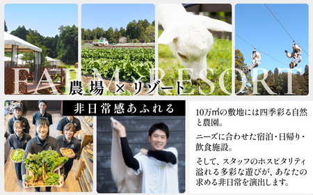 THE FARMで収穫体験&採れたて新鮮野菜をBBQで食べる贅沢な食体験(2名様) TFM006
