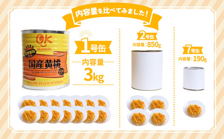 【ふるなび限定】＜業務用＞ 青森県産黄桃 6kg フルーツ缶詰 もも 桃 FN-Limited-PR