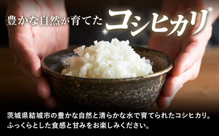 米 令和7年産 こしひかり コシヒカリ 白米 5kg アッシーリス 株式会社ヤマナカ《30日以内に出荷予定(土日祝除く）》茨城県 結城市 こめ お米 ご飯 鬼怒川 精米