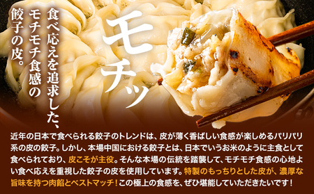 餃子 うまかポーク生餃子 30個 【3ヶ月定期便】タレ付き 大津町限定返礼品 冷凍餃子 ギョウザ《お申込み月の翌月から発送開始》大津町産豚肉使用 九州産キャベツ使用（大津町産含む）皮モチモチ 肉汁溢れる ぎょうざ （30個×1袋）