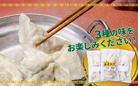 冷凍餃子 肉 野菜 海老 人気3種 食べ比べセット 30個(各10個) 冷凍 餃子