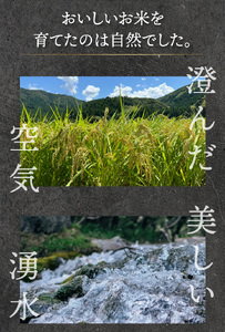 【定期便3回】ハナエチゼン 玄米 10kg（10kg×1）令和7年産 [095-t3-a008]