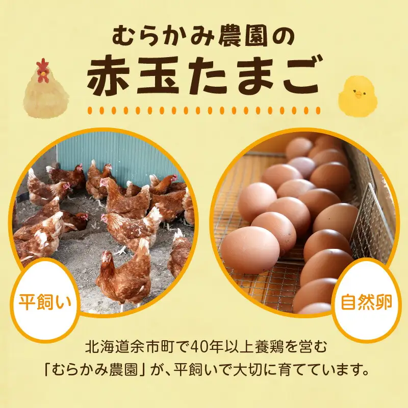 むらかみ農園の赤玉たまご60個_Y140-0002
