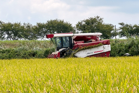 【定期便／3ヶ月 令和7年産】 稲敷市産 にじのきらめき 無洗米 計30kg (5kg×2袋×3ヶ月) [1917]