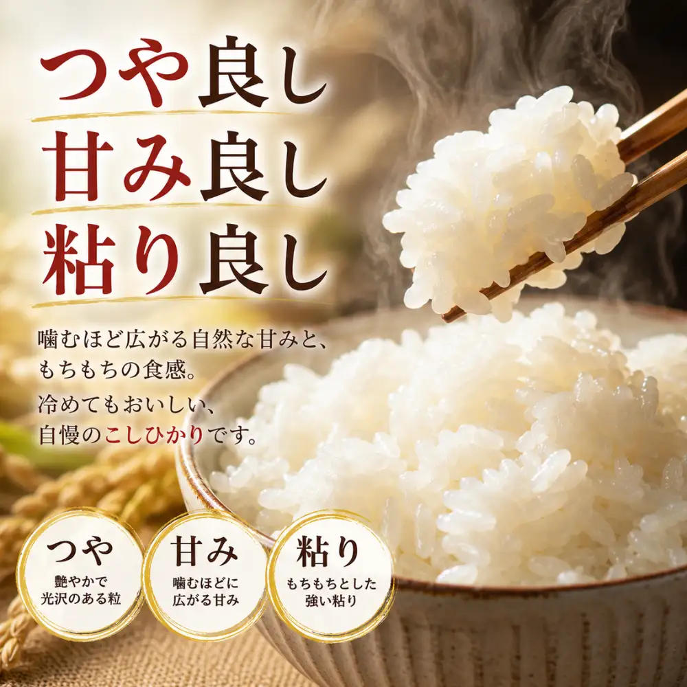 コシヒカリ 5キロ 2袋 / 国産 こしひかり  10キロ 令和7年 新米 米 お米 保存袋 生活必需品 ギフト 贈り物 お歳暮 ふるさと納税 送料無料【n0663-10_gou】