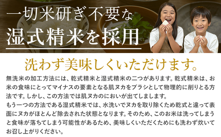 【隔月6回定期便】阿蘇びより 白米 10kg (5kg×2袋)