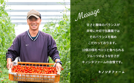 【2025年10月～順次出荷】ミニトマト3kg　アマメイド糖度8度以上　高リピート率野菜