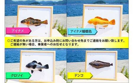 萬さん手作り、本物そっくり魚の模型 1点 三陸山田産 山田町 山田湾 工芸品 職人 匠 YD-935