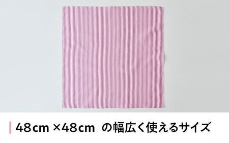 【ギフト対応・ラッピング済】 【播州織】 レディース用ハンカチ2枚セット A／ CHECK&STRIPE おしゃれ 綿素材 日本製 ハンカチ ギフトセット オリジナル 女性向け 雑貨 プレゼント