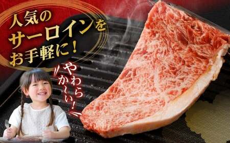 【訳あり】 【6ヶ月定期便】 牛サーロインステーキ（牛脂注入加工） 1回あたり計600g（120g×5枚） ワケあり 訳アリ 牛肉 サーロイン ステーキ お肉 肉 冷凍