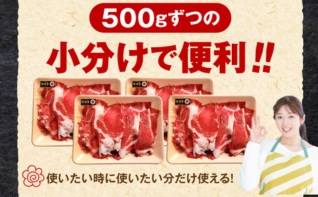 牛肉 すき焼き 牛肉[宮崎牛 切り落とし 2kg]