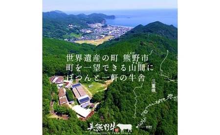 【3回定期便A】牛肉 美熊野牛 牛肉定期便【okad-tkb0011】