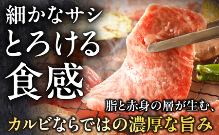 牛肉 宮崎牛 カルビ焼肉 1kg 牛肉