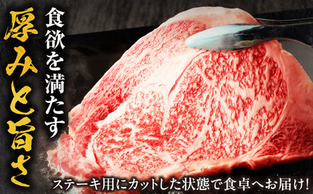 牛肉 ステーキ 牛肉[宮崎牛 サーロイン 800g]