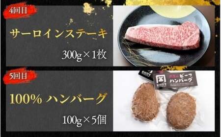 【5回定期便A】牛肉 美熊野牛 牛肉定期便【okad-tkb0023】