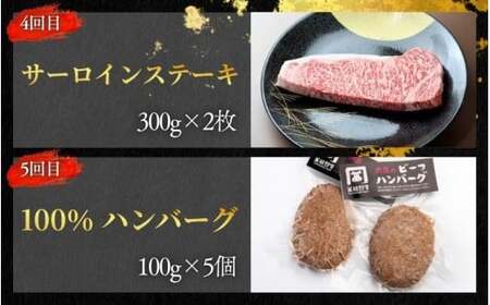【5回定期便B】牛肉 美熊野牛 牛肉定期便【okad-tkb0024】