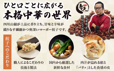 四川山椒が香る マーボー餃子セット