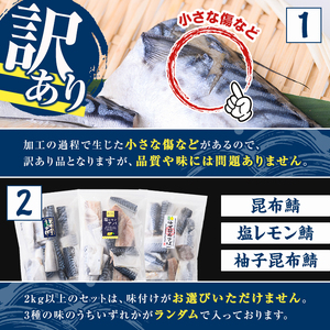 訳あり・傷あり ご家庭用さば切身パック(合計2kg) サバ 鯖 海産物 海鮮 おかず 惣菜 焼き魚 切り身 ジップロック チャック付き袋 小分け 簡単調理 【グローバルフーズ】akn061-34