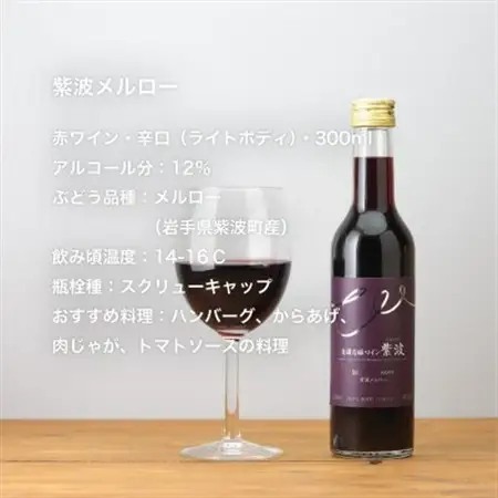 自園自醸ワイン紫波 辛口ワイン ミニボトル2本セット【1688295】