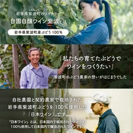 自園自醸ワイン紫波 甘口・辛口ワイン ミニボトル 飲み比べ5本セット【1688297】