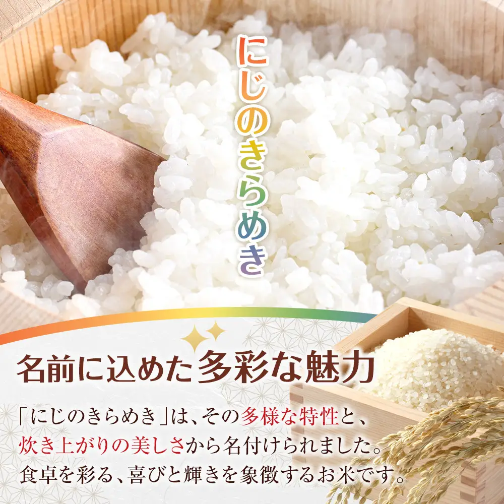 ［お米の定期便／全12回］和歌山県産 米 にじのきらめき計60kg (5kg×全12回) 2025年産［SL55］