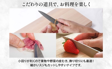 T80シリーズ ペティナイフ 120mm 包丁 ナイフ キッチン用品 調理器具 キッチングッズ 錆びにくい モリブデン鋼 軽量 高品質 切れ味 プロ仕様 耐久性 日本製 料理 プレゼント ギフト 贈り物 送料無料 竹内刃物製作所 岐阜県 美濃市