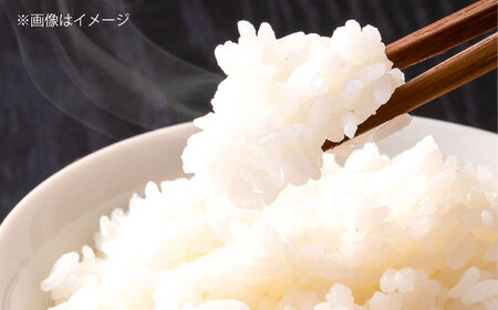 【令和7年産米】【数量限定50個】島根が誇るブランド米！仁多米「にたひかり」10kg（5kg×2） ＜産地限定米＞ 島根県松江市/有限会社藤本米穀店[ALCG028]