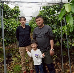 【2026年先行予約】みかん 訳あり 愛果28号 紅まどんなと同一品種 5kg サイズミックス ご家庭用 【12月から順次発送予定】 愛媛 人気 数量限定 柑橘 伊予侍ファーム 伊予市｜C137