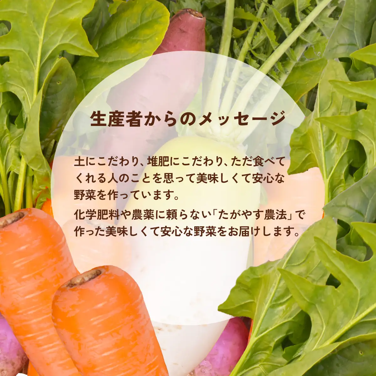 ≪4か月定期便≫有機農業の第一人者 たがやす倶楽部 齊藤 完一さんの「季節の野菜セット」 SMCL004