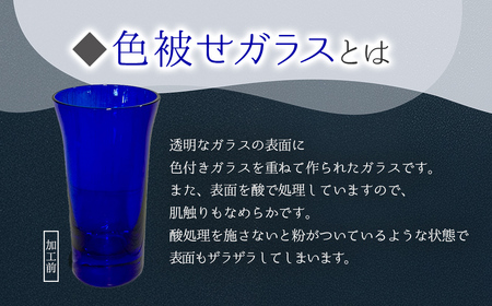 一口ビール　アヤメ　青 SMCT003