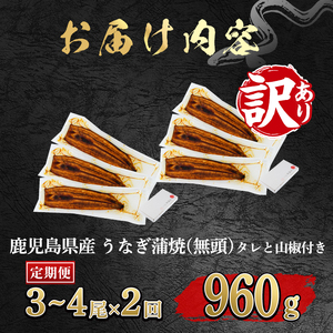 【0254308b】＜定期便・全2回＞【緊急支援品】＜訳あり＞鰻の蒲焼き(無頭)(3～4尾×2回・計約960g・タレ、山椒付) うなぎ ウナギ 鰻 国産 蒲焼 蒲焼き たれ 鹿児島 ふるさと 人気 支援 【アクアおおすみ】