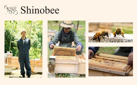 AS19　国産・非加熱 生はちみつ 2本セット 計600g　百花〈山野の花々〉【 国産 非加熱 蜂蜜 ハチミツ 生はちみつ はちみつ ハニー 百花 百花蜜 兵庫県 宍粟市 】