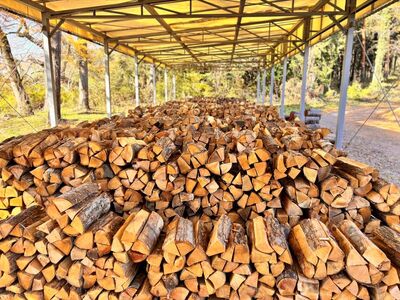 薪 信州産 広葉樹の薪 薪1箱 約20キロ 薪長さ：35cm【008-28】