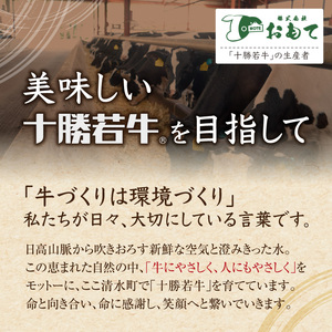 十勝清水町産 ブランド牛 十勝若牛1頭買い！総重量約220㎏！定期便 選べるカット・配送 _S003-0031